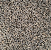 Arabica Green Beans